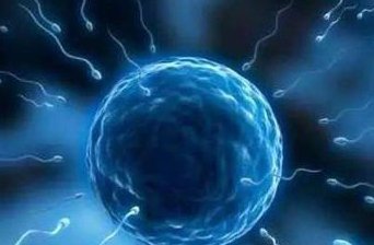 2026年想去济南市做试管婴儿需要准备哪些事？详细收费明细一览