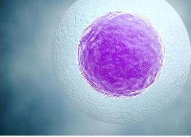 确诊为免疫性不孕能在霍州市做试管婴儿吗？做三代试管需要多少钱？