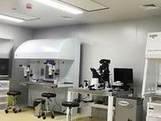 吃什么能提高女性卵子质量？如何判断卵子质量好不好？