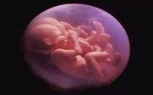 卵巢早衰能去福建正规医院进行特需试管吗？